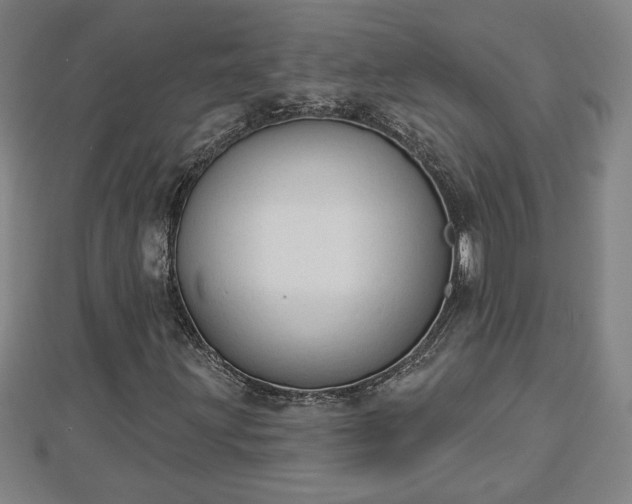 X0000112861203200908281556