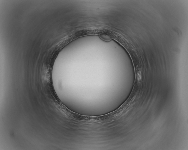 X0000112861204200908281556