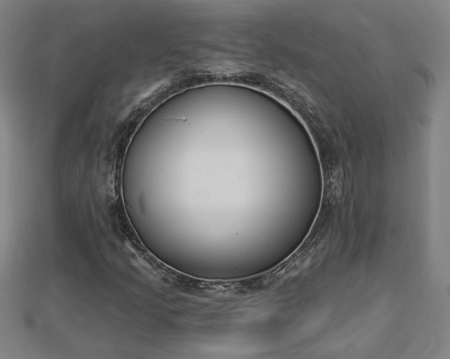 X0000112861205200908281556