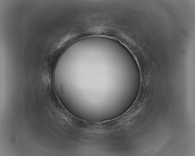 X0000112861206200908281556