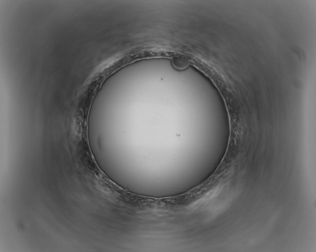 X0000112861207200908281556