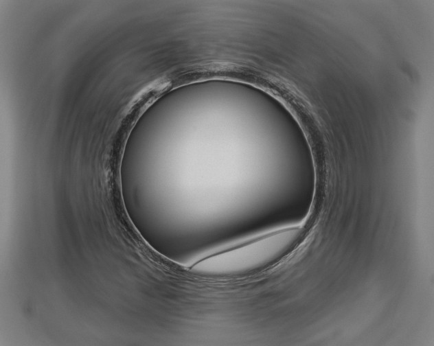 X0000112861210200908281556
