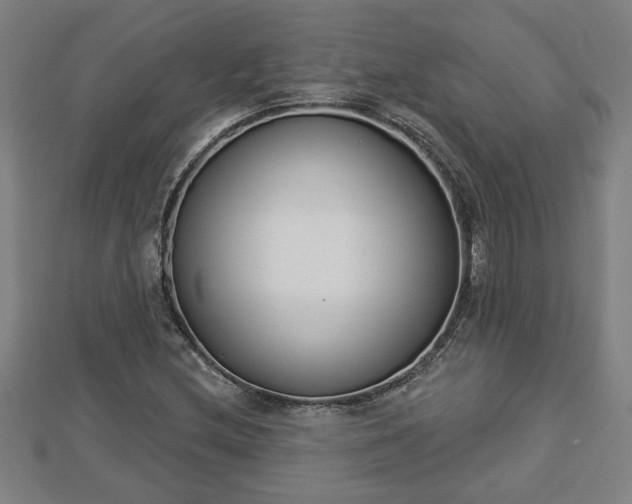 X0000112861212200908281556
