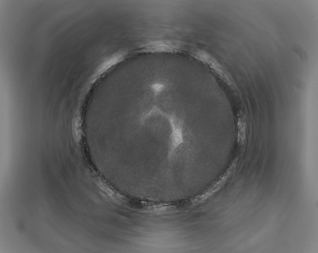 X0000112861213200908281556