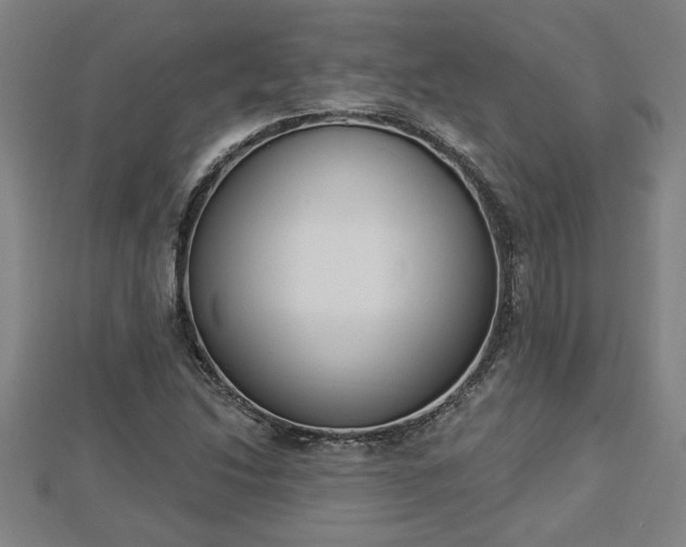 X0000112861214200908281556