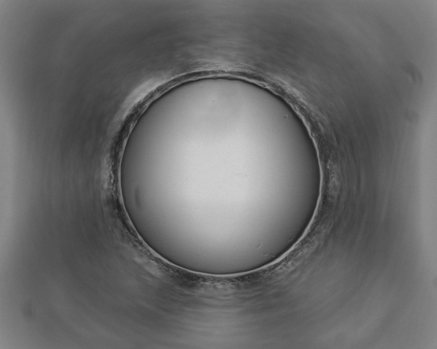 X0000112861215200908281556