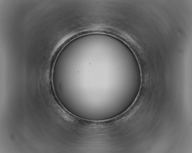 X0000112861216200908281556