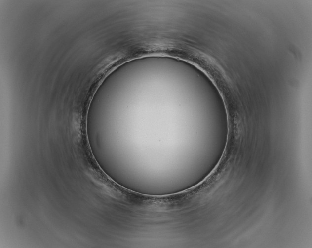 X0000112861217200908281556