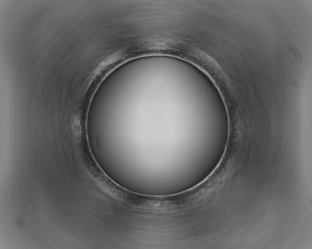 X0000112861218200908281556