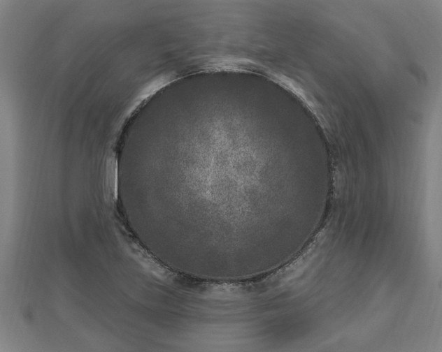 X0000112861219200908281556