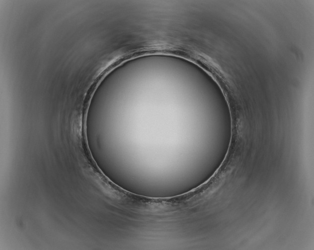 X0000112861220200908281556