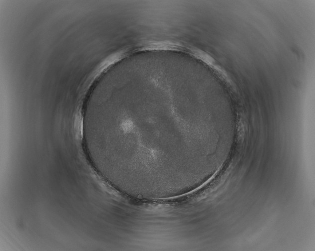 X0000112861221200908281556