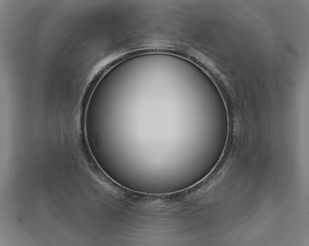 X0000112861222200908281557