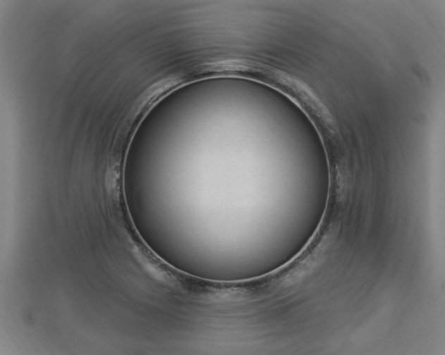 X0000112861225200908281557