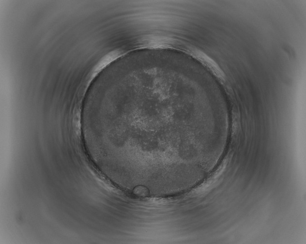 X0000112861226200908281557