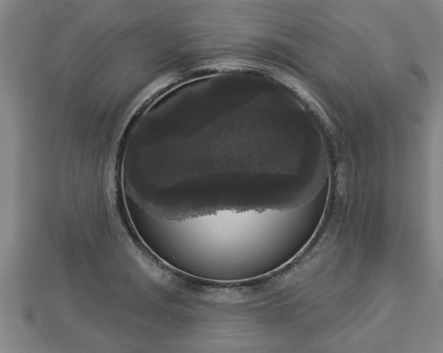 X0000112861229200908281557