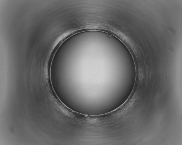 X0000112861230200908281557