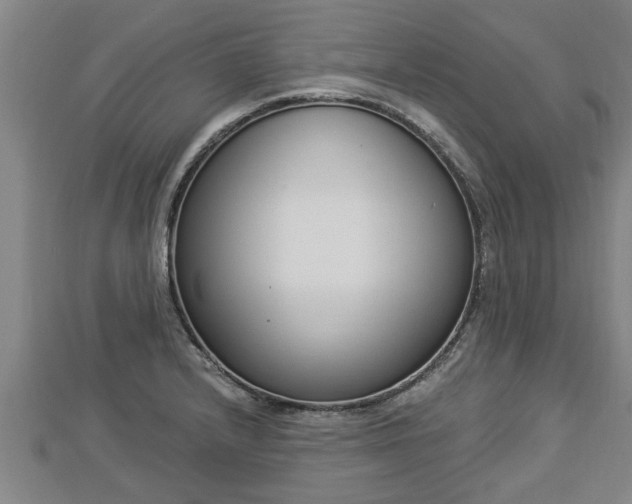 X0000112861232200908281557