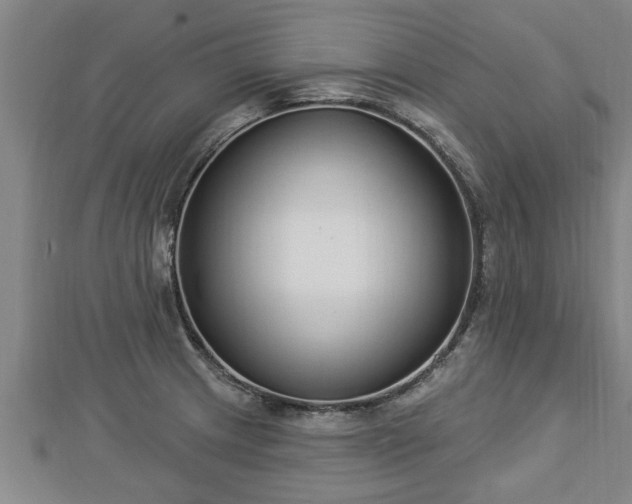 X0000112861233200908281557