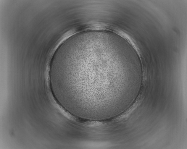 X0000112861235200908281557