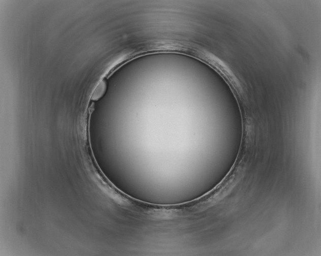 X0000112861236200908281557