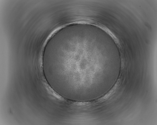 X0000112861240200908281557