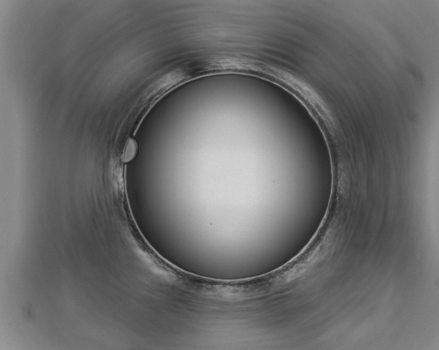 X0000112861241200908281557