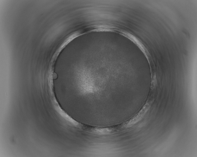 X0000112861243200908281557