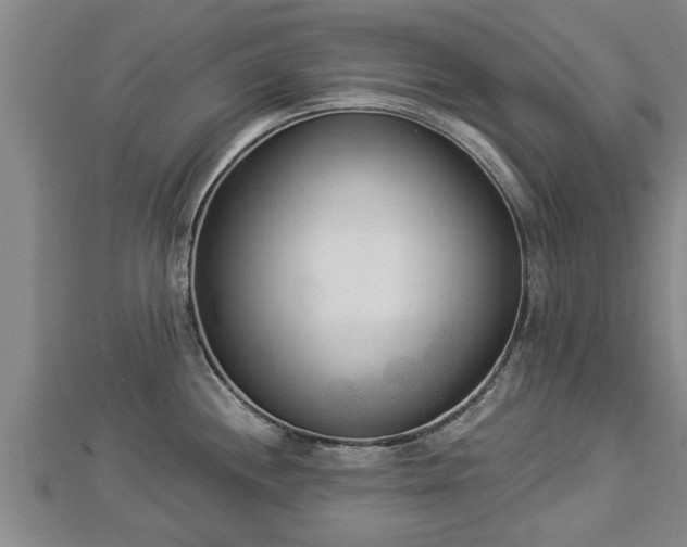 X0000112861244200908281557