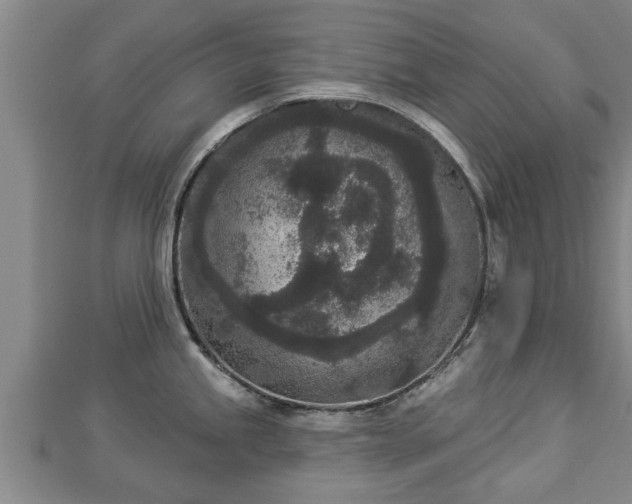 X0000112861245200908281557