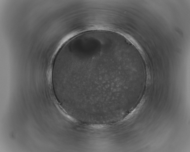 X0000112861246200908281557