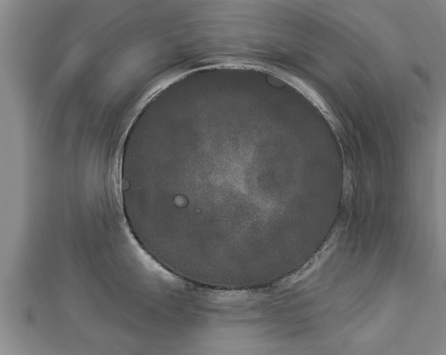 X0000112861247200908281557