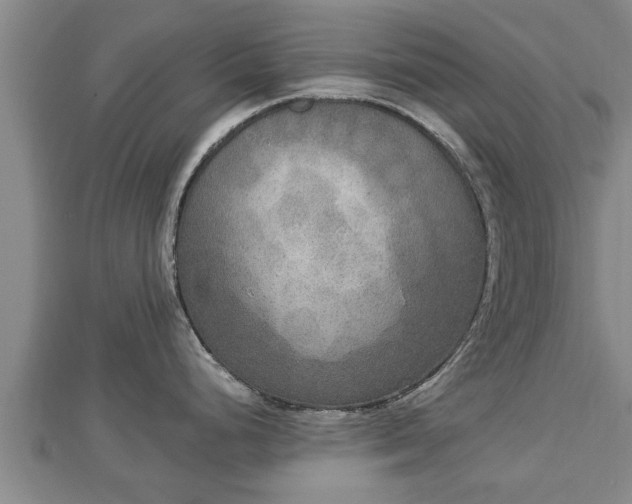 X0000112861248200908281557
