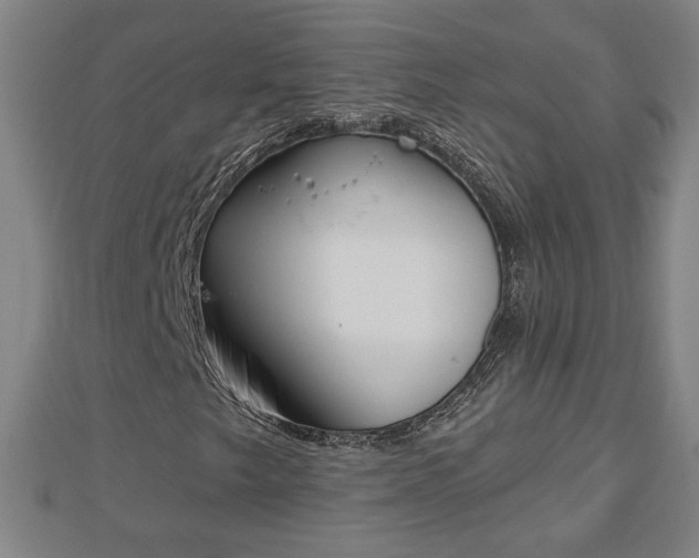 X0000112861249200908281556
