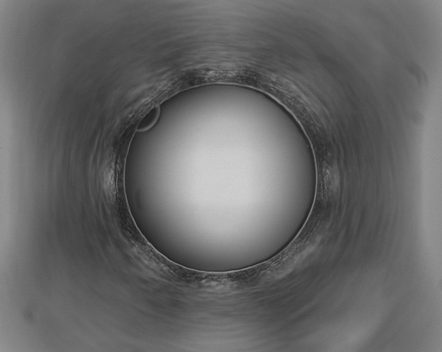 X0000112861250200908281556