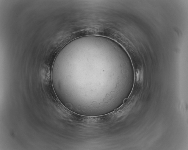 X0000112861251200908281556