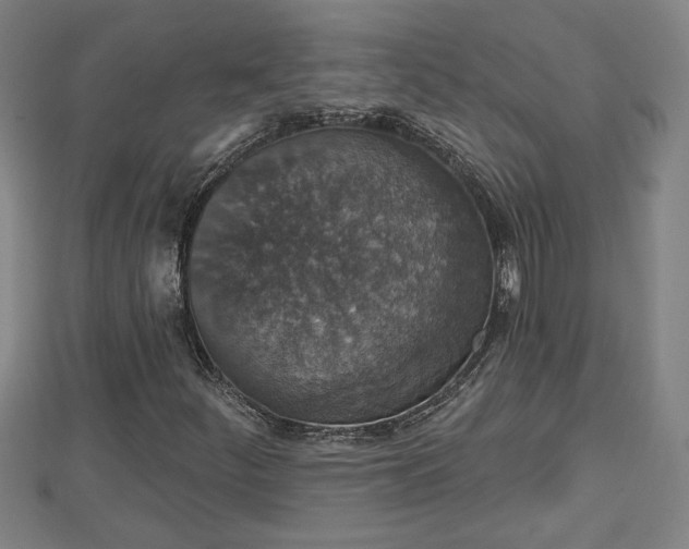 X0000112861252200908281556