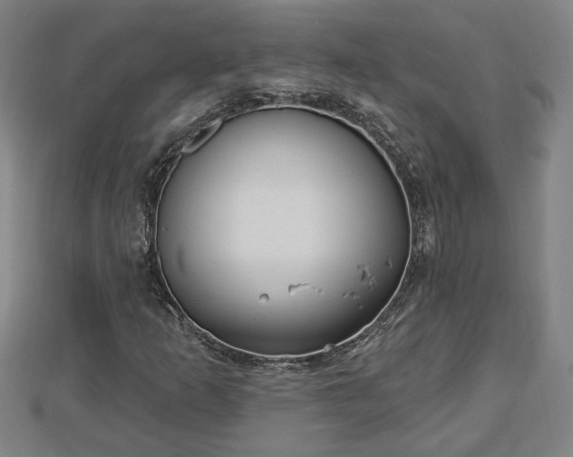 X0000112861253200908281556