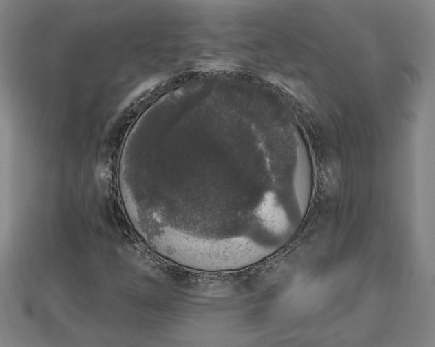 X0000112861254200908281556