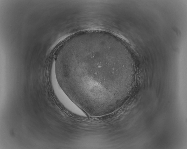 X0000112861255200908281556