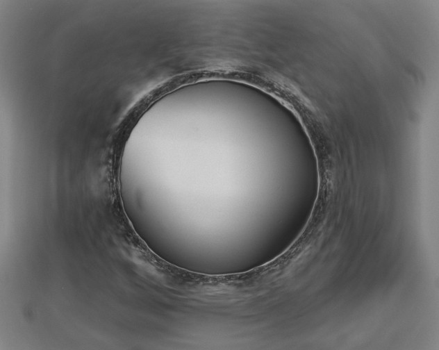 X0000112861256200908281556