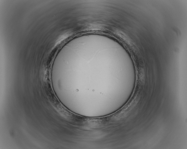 X0000112861258200908281556