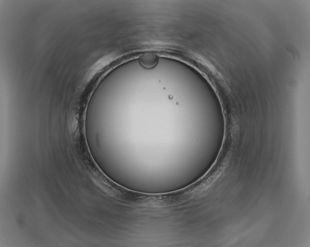 X0000112861259200908281556