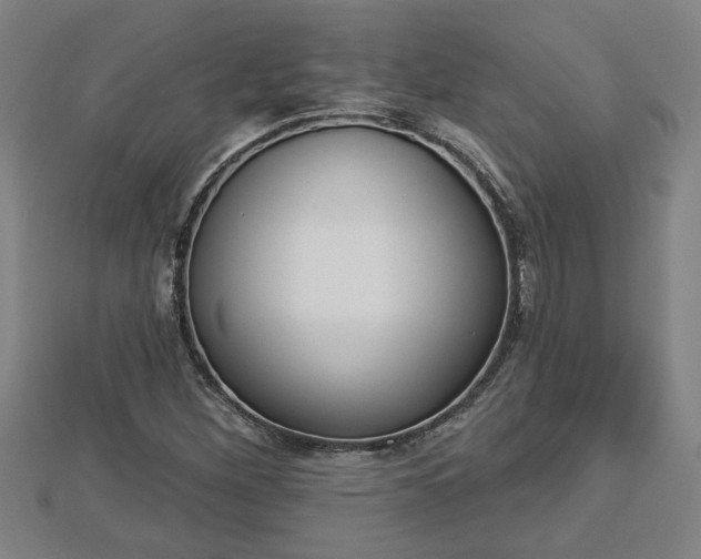 X0000112861260200908281556