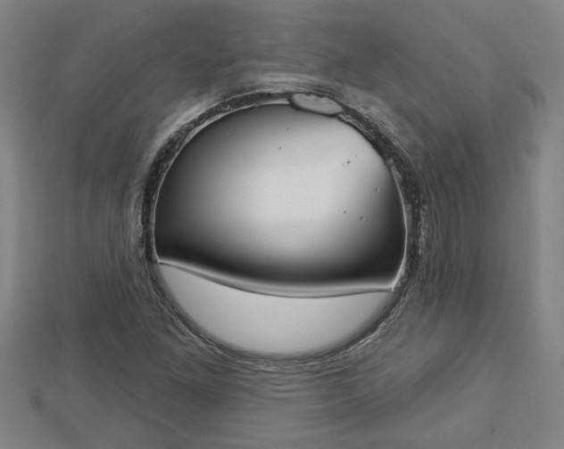 X0000112861261200908281556