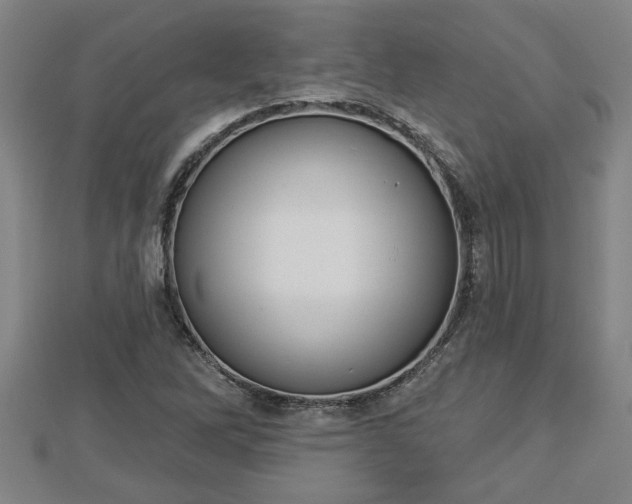 X0000112861262200908281556