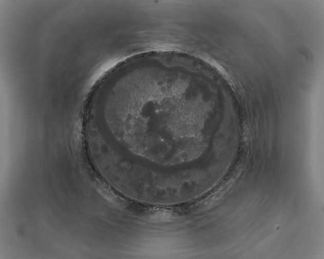 X0000112861263200908281556