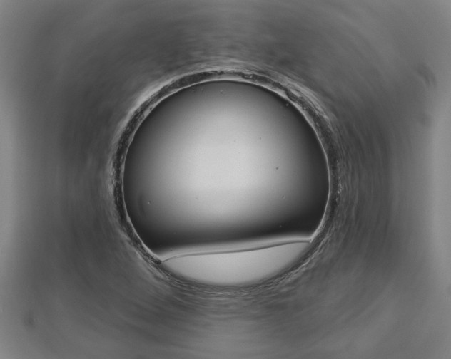 X0000112861264200908281556