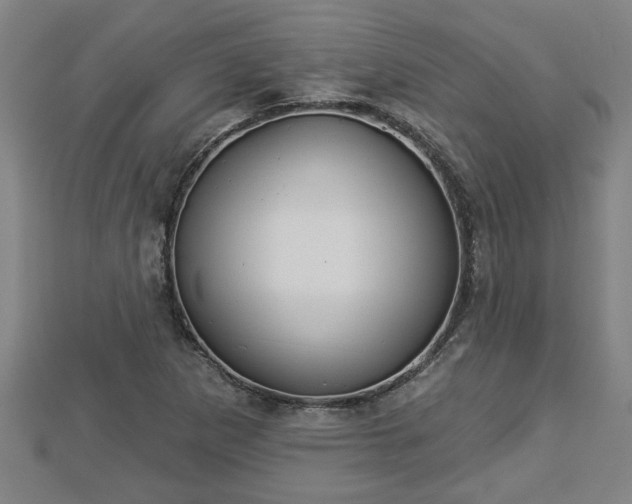 X0000112861265200908281556