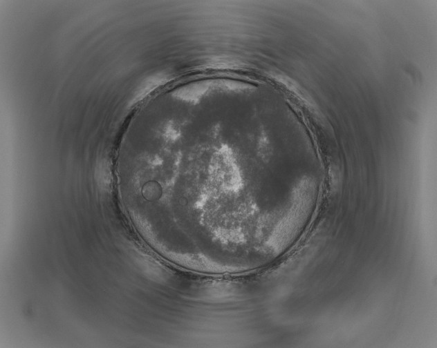 X0000112861266200908281556